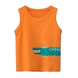 Tshirt Jungen Schlichtes klassisches Funny Tshirt Outdoor Mode Teenager Outdoor Tshirt Sommerurlaub klassisches Sommer Einfarbig Tops Teenager Achselshirt 2-17 J