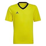 adidas Unisex Kinder Entrada 22 Jersey, Team Yellow/Black, 11-12 Y