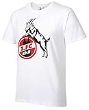 1.FC Köln T-Shirt Basic weiß Gr. L
