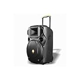 Trade Shop – Tragbarer Lautsprecher mit Woofer 15 Zoll (38,1 cm) USB MP3 Mikrofon Extreme Sound Van-XL