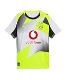 PUMA Borussia Dortmund Replica Trikot Away Kids grau, 176