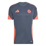 adidas FC Bayern München Training Trikot Jersey (DE/NL/SE/PL, Alphanumerisch, L, Regular, Regular, Grey Blue)