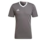adidas Herren Entrada 22 Jersey, Team Grey Four, M