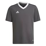 adidas Unisex Kinder Entrada 22 Jersey T-Shirt, Team Grey Four, 11-12 Y