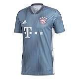 adidas Herren 18/19 FC Bayern 3rd Trikot, raw Steel/Utility Blue/White, 3XL