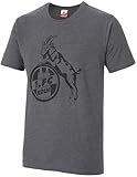 1.FC Köln T-Shirt Basic Anthra Gr. XL