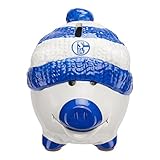 FC Schalke 04 Sparschwein / Spardose / piggy bank S04