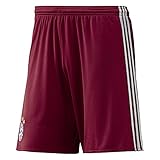 Adidas Jungen FC Bayern München UCL Trikot, Collegiate Burgundy/Light Onix, 176