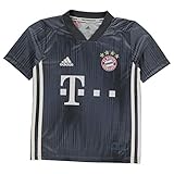 adidas Kinder Trikot 18/19 FC Bayern 3rd, raw Steel/Utility Blue/White, 176, DP5451