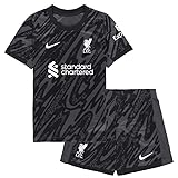 Nike Unisex Kinder Kit Liverpool Fc Dri-Fit Kit Stadium Gk, Anthracite/Black/White, FN9204-061, S